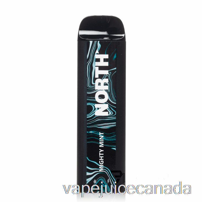 Vape Juice North 5000 Disposable Mighty Mint